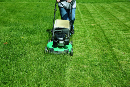 Lawn Mowing
